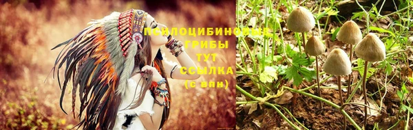 соль ск Алзамай