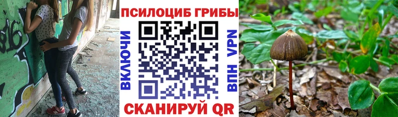 Галлюциногенные грибы Cubensis  Ветлуга 